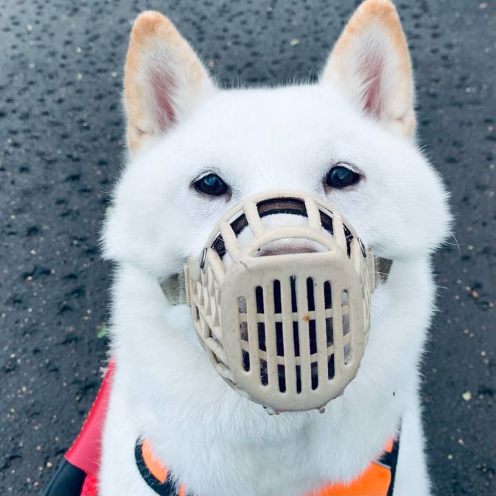 1802ba50 25d5 43f1 b2c8 3c22870de23f 1665439567244