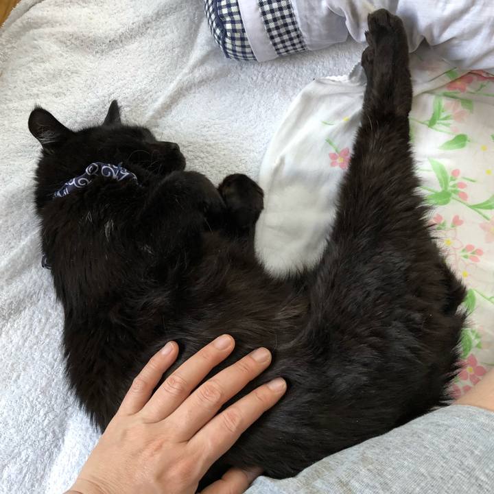 1802c6b6 1c6d 4296 8df5 6081e2c7e492 1578872107841