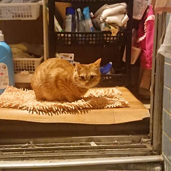 1802df5c 795c 425d a6e8 835031143f57 1642853192054