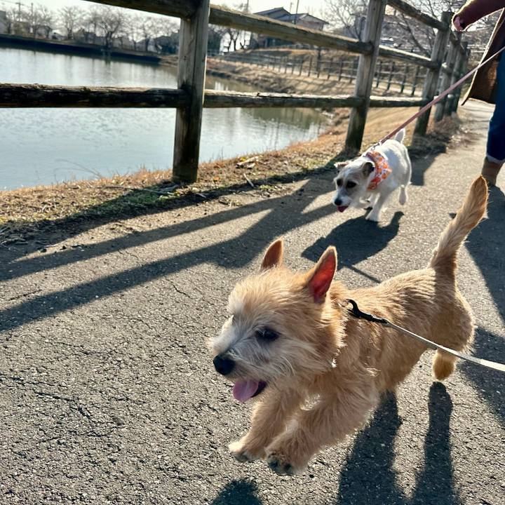 1802e9a8 ed2d 4b05 879e ede019fe42bb 1707489048825