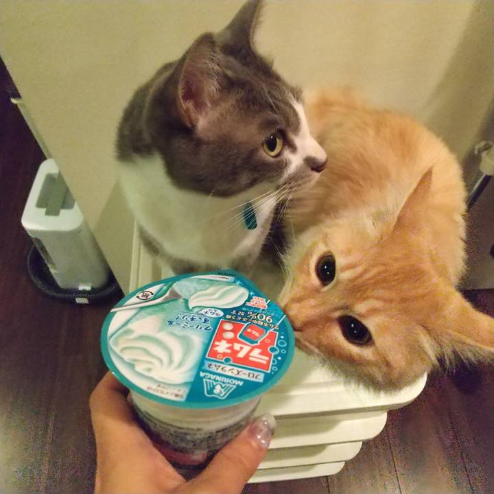 1802f146 f95b 48cb ab8b fce6a6ce5a25 1620733060791