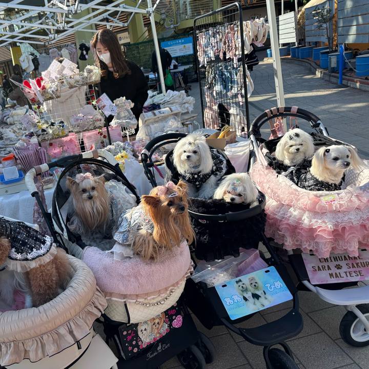 1802f6dd c4b6 4bf2 8c77 1179ad6edc8c 1772356358071