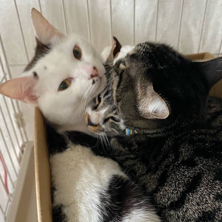 18032b47 4c47 405b 8482 b85add038cc7 1705795250460