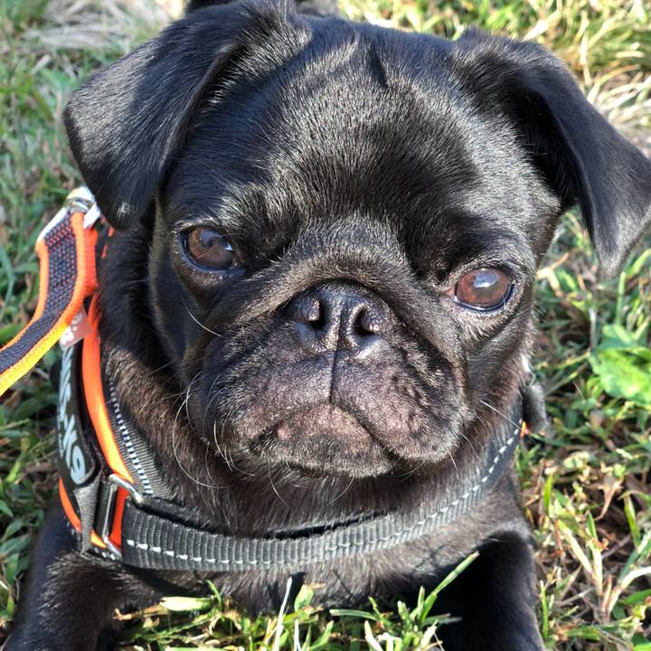 18033080 bf7f 4fb8 b6e1 a10eb7ad67e0 1602029649974