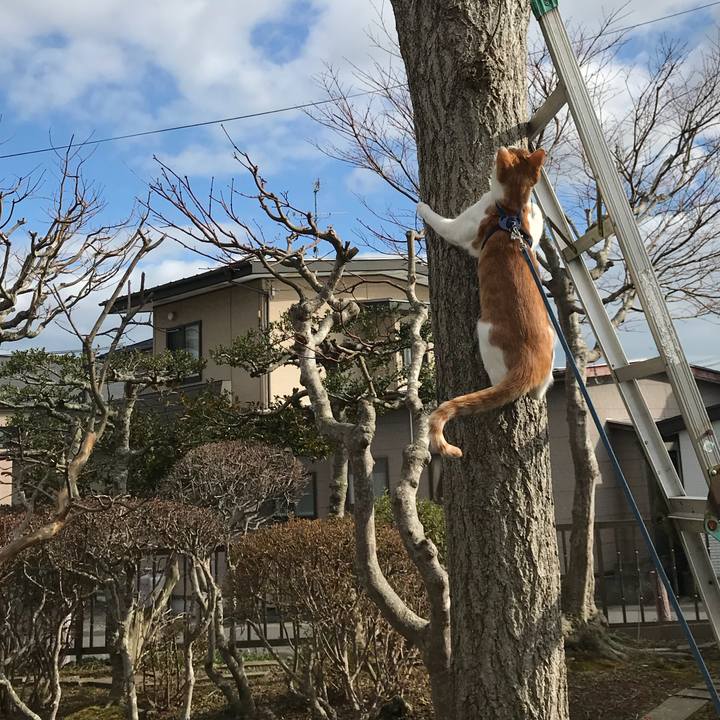 180344a6 2fdd 4dad 9a27 f03fd56fd8e9 1520661434752