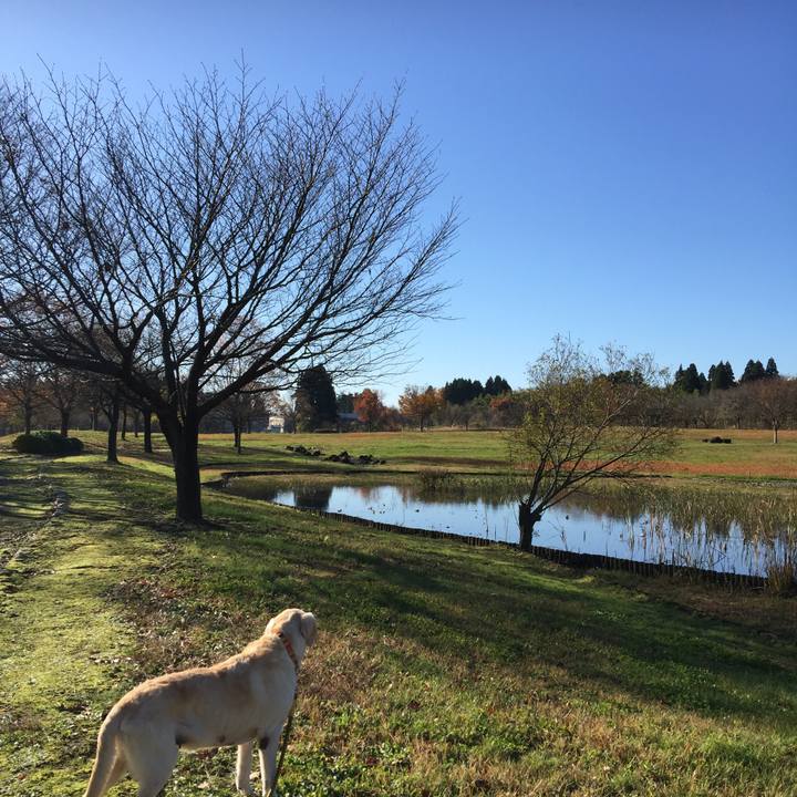 18034945 161c 4f63 a4fe 4b9e034e1a98 1543715295391