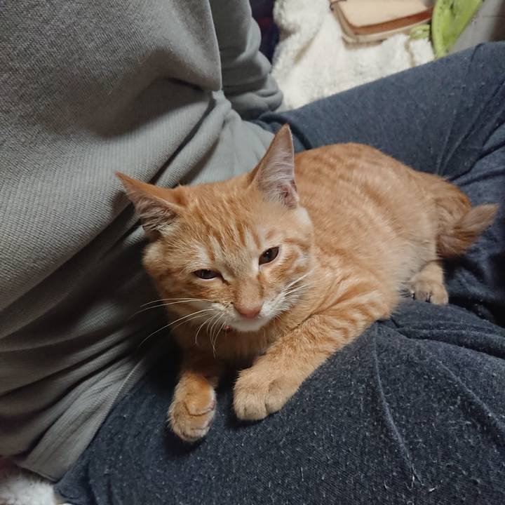 1803dc19 5736 4eb1 bd86 b871de7146ce 1634209966273