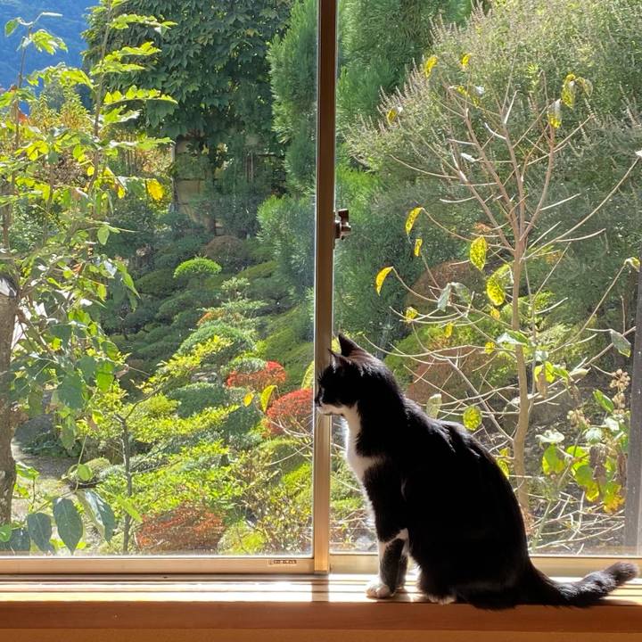 1803f5cc f31a 4c2a 81ff 99d793d091ad 1665384341597