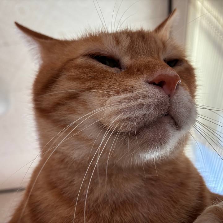 1803f94c 1b1c 4c55 b9e5 c7142544df9c 1752353033357