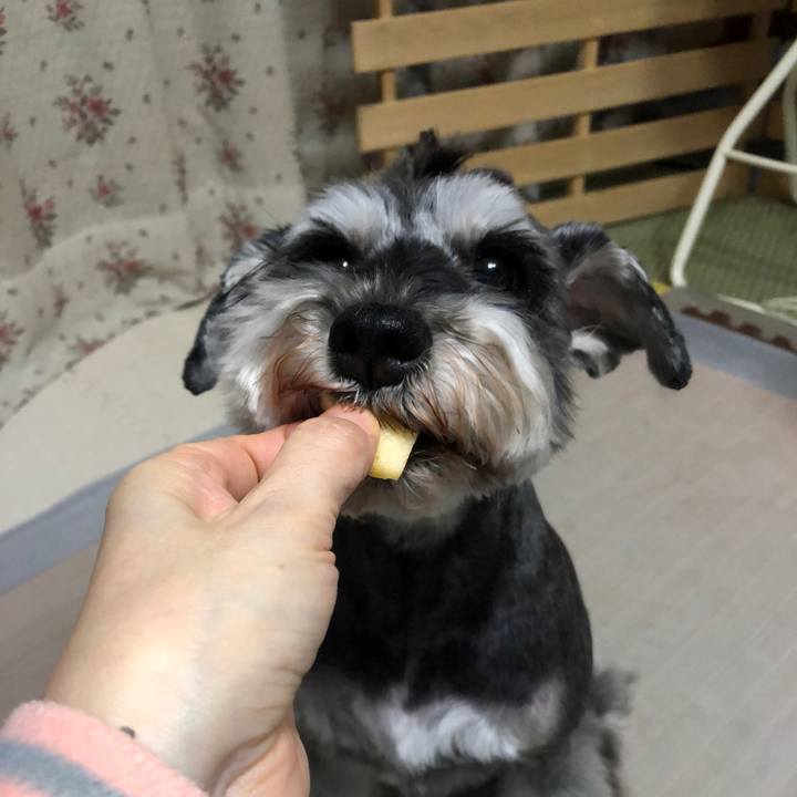 18040a47 994b 4d00 98f1 7937837d61c9 1646316989506