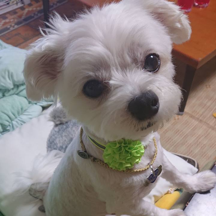 1804118f f03d 4dd1 a3bd 63d6726216bd 1532853974833