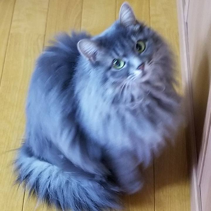 1804435c 424c 4d69 8363 eb0b2bbd2553 1582754148331