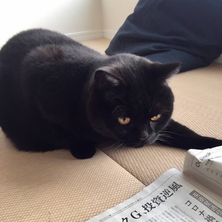 18046354 2570 49cc bcc6 93aa1a36fabd 1587344939671