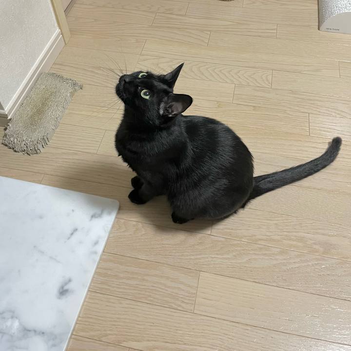 18046f20 6e9f 407f 8840 433c72d8fcaf 1660742166385