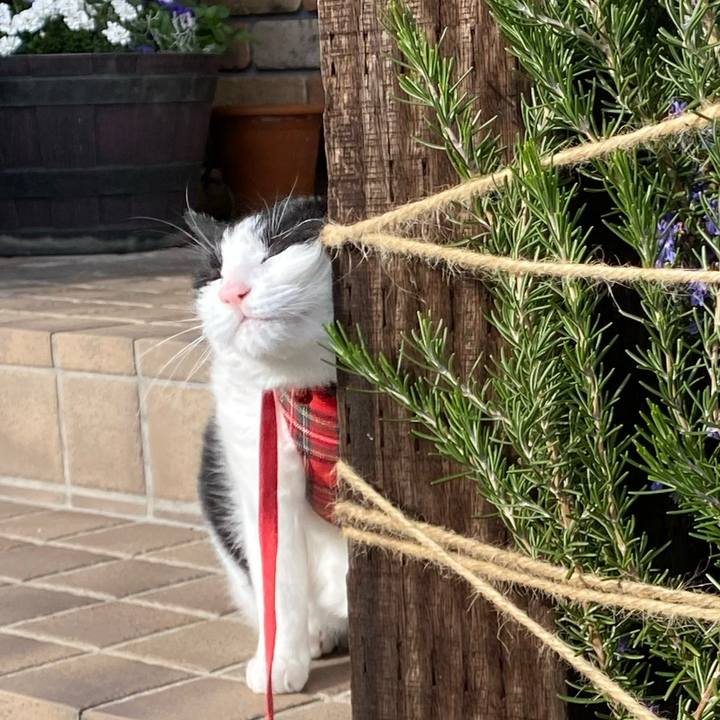 1804841e f165 40f6 84f5 4349a08d2880 1671020935679