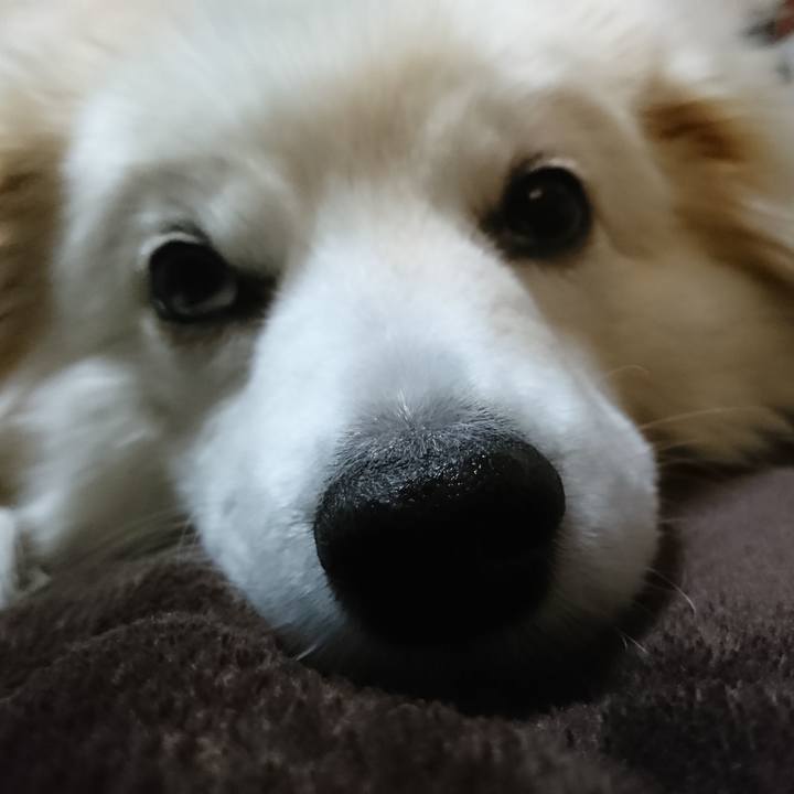 18049c00 11e3 4f6b a481 4d92ead90f13 1524689045147