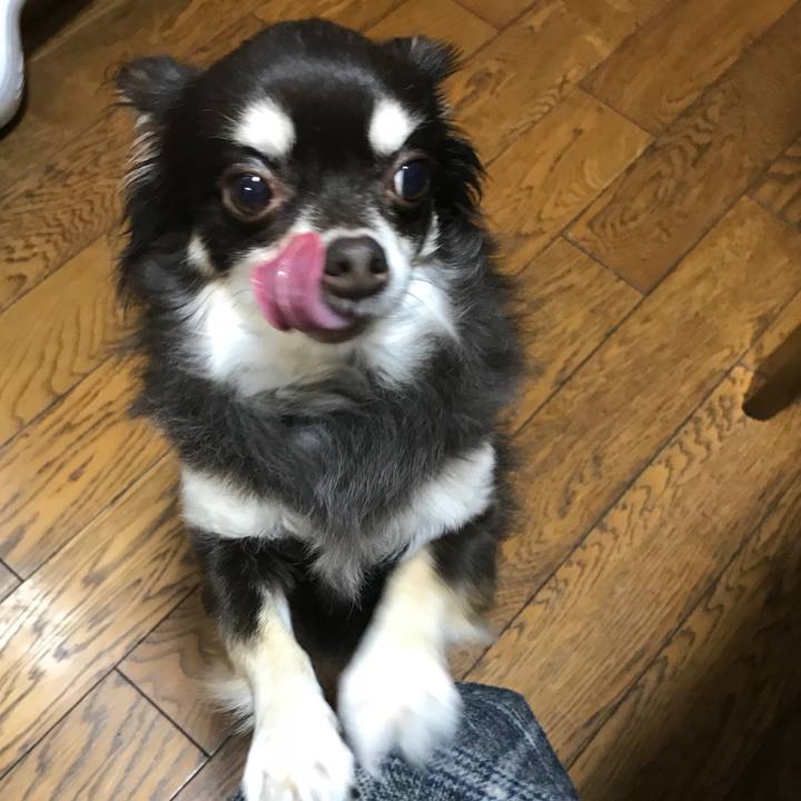 1804c749 b9a4 4e39 b922 f0e742b9d180 1549097080106