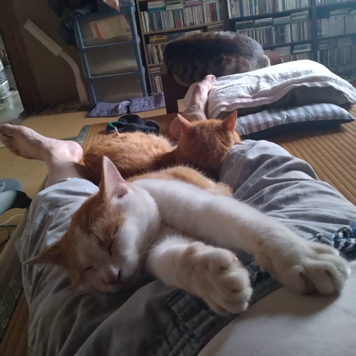 1804dbb9 0079 4c2e 9abd dcdb2c0152f6 1750733163046