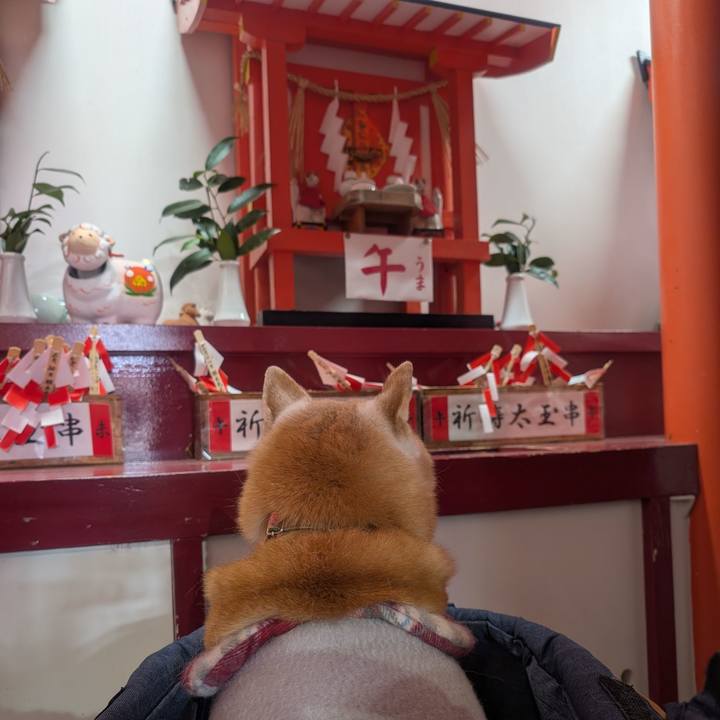 18051ece d8c9 41fa 9fa1 1bcef425c46f 1765530668064