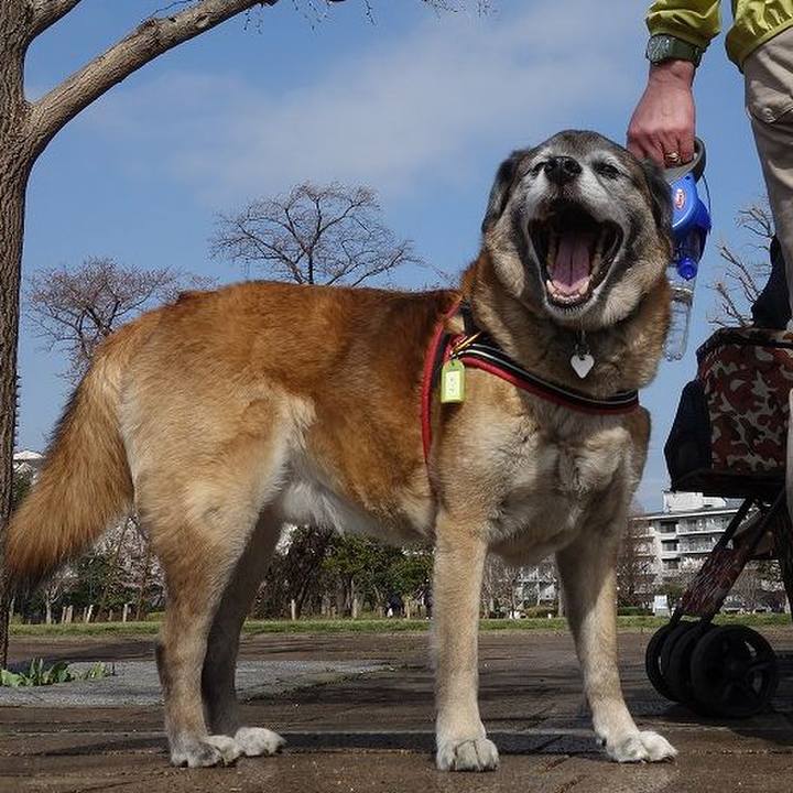 18053538 5baa 4741 b59c 67da660c532a 1521854595295