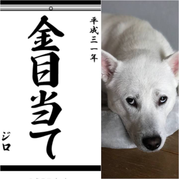 180560a5 9226 4d58 aca8 f70fde834723 1546485766395