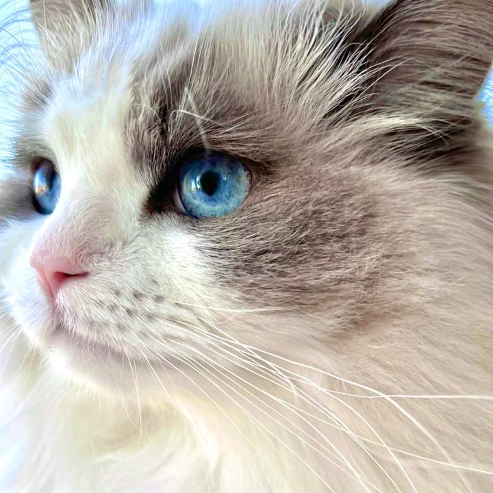 18057f4b 9849 45d8 8fae 7f9a45949843 1645858771869