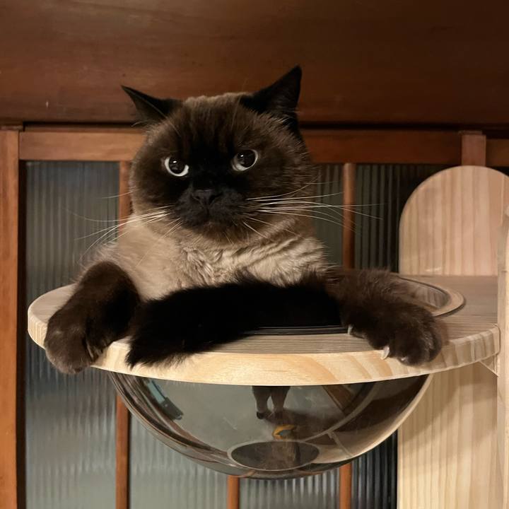 18058d1c da68 4975 934c b29d9cdb85ac 1702969580287