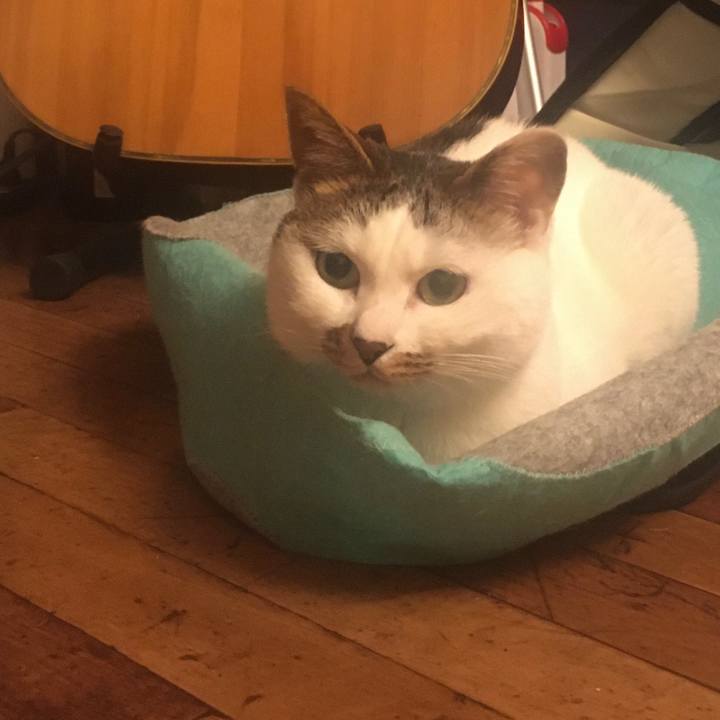 1805cc1e 6a48 4496 bed0 f040a22f68bb 1611562039640