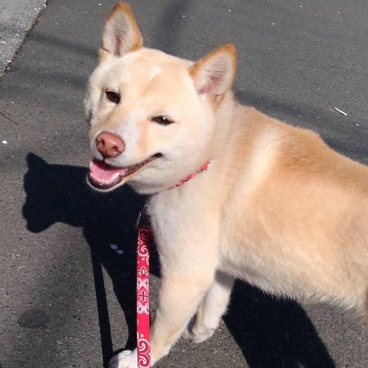 18061465 b330 4222 8d1d 1366036b12f7 1520125920754