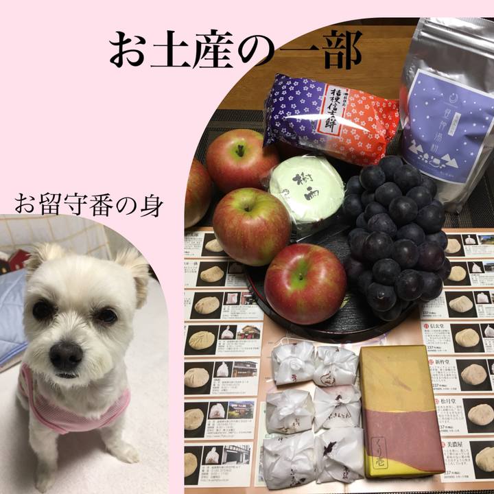 18061e43 8fb5 4979 af0a 4f84514c0c29 1538052060901