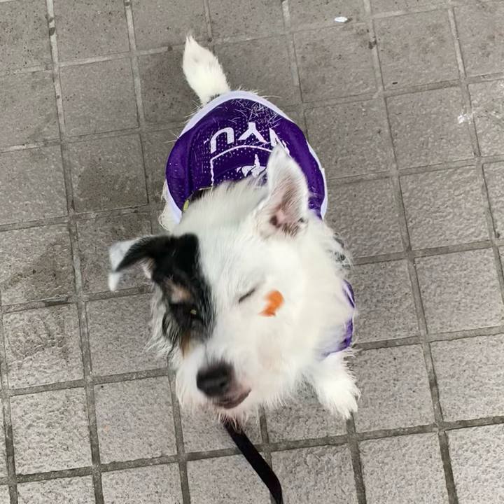 18068b39 39e0 4b61 9ec3 39f5bcf1f8a6 1725004458882