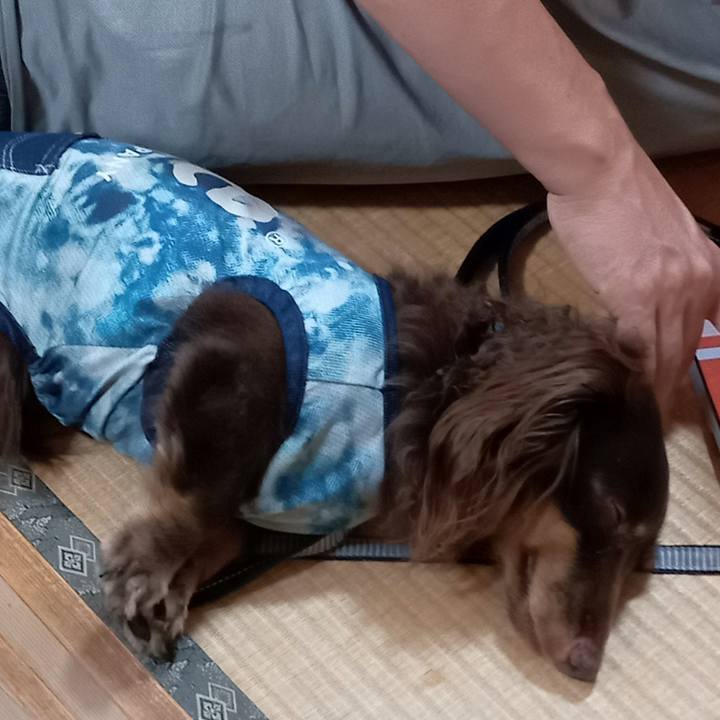 180693b0 2df3 4ebb b042 f8abcdcf6f74 1756418842864