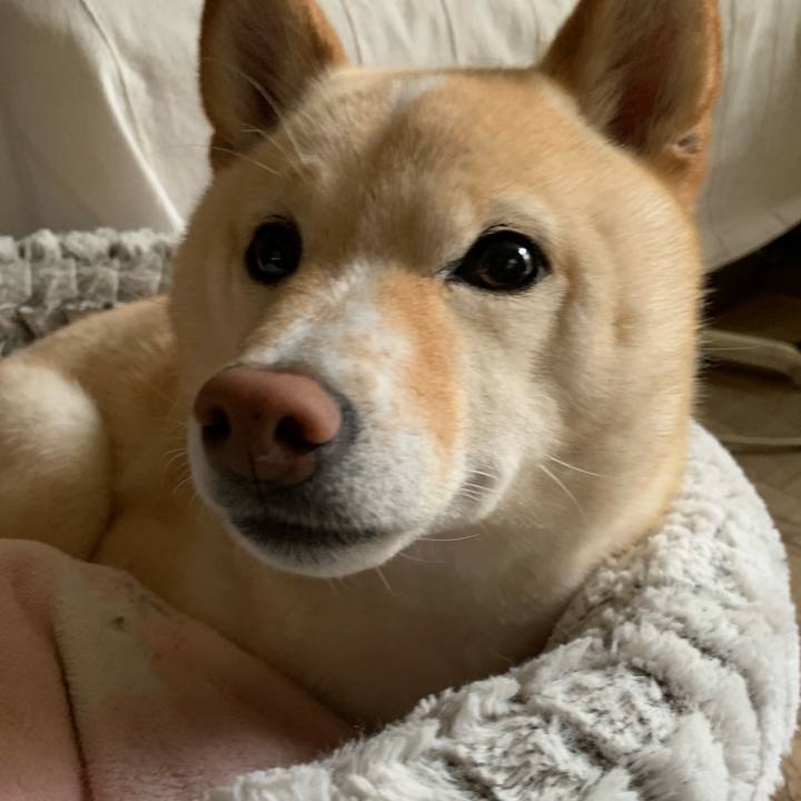 1806b9ac 5eca 44b0 96e9 b480ac8ded23 1654642002980