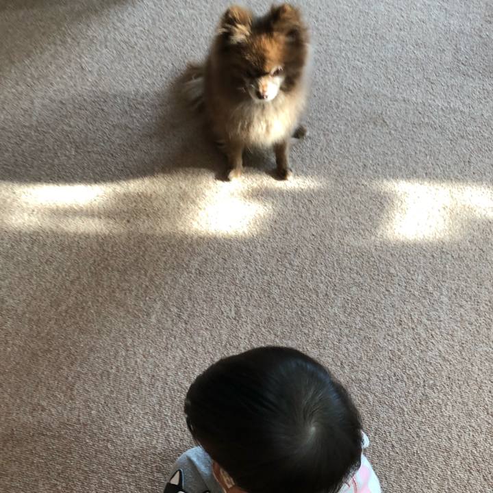 1806e12c 1978 41f3 b0e3 364cd0343ddb 1582628219239