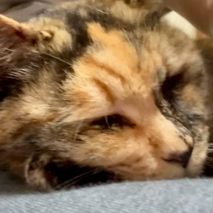 1806e6f4 53ba 4299 b298 8240fdeb96ef 1750820243208