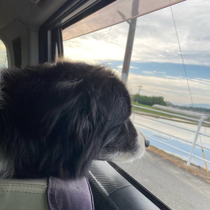 1806ed4b 5982 40d2 ab4e c932f964074c 1687557965851