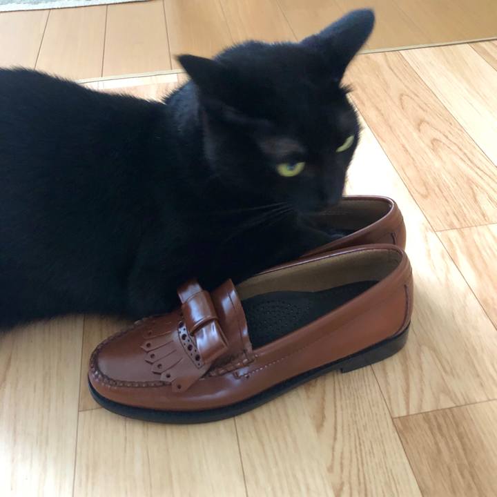 18072585 c16a 4754 b941 092d5499d50f 1596760611846