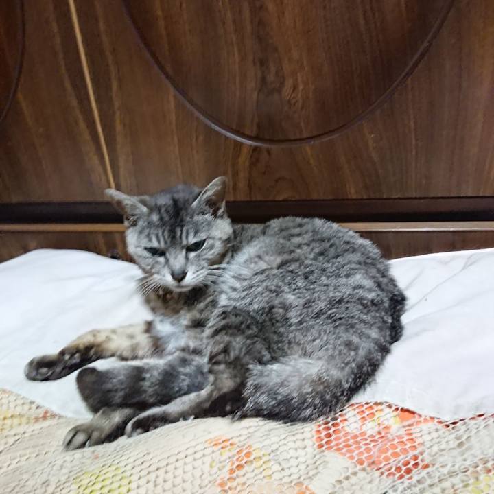 18073f74 507d 44eb 901f 6afb16d9259b 1591878051341