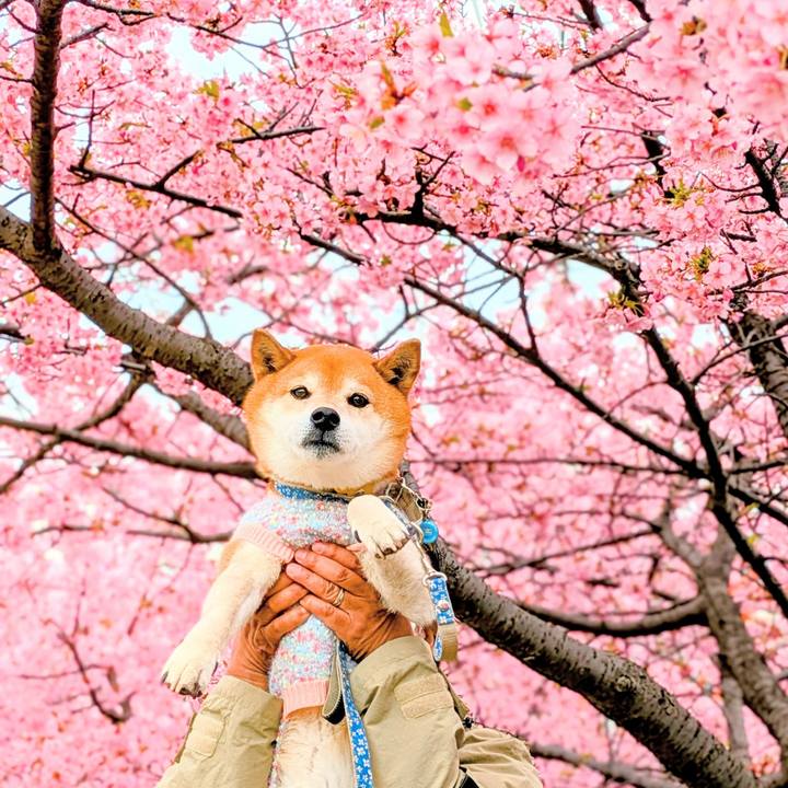 18075245 0bbd 4243 97ee 911a43bda7b3 1772519930213