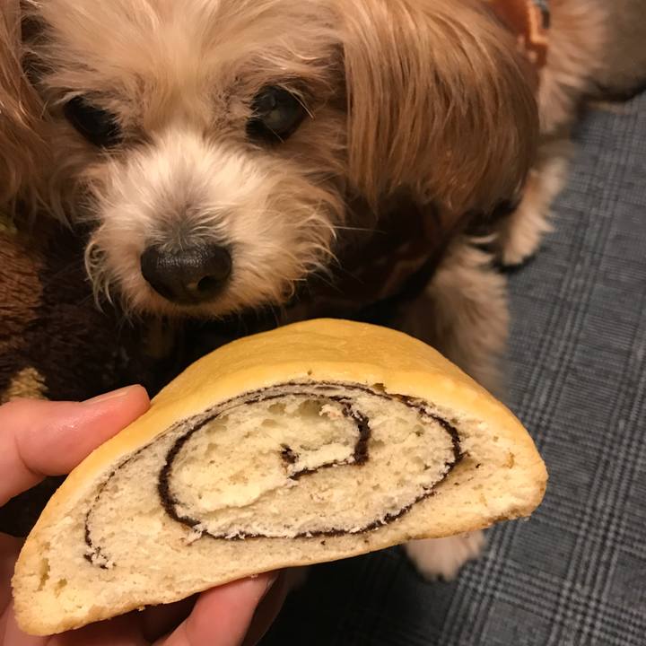 18075277 66c7 4a06 b1ce 054c4c3d847a 1514417754234