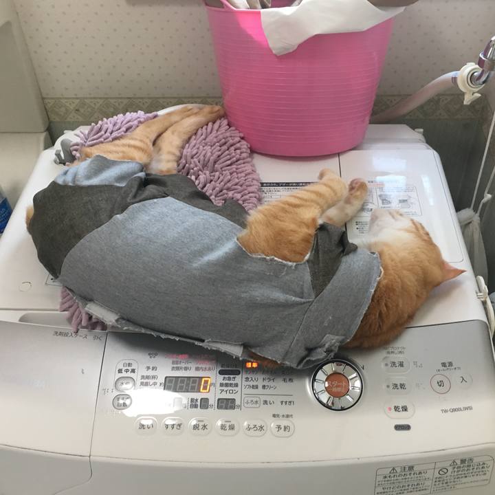 18076e2e 7f00 455e bfea f49d4f5deeff 1537327552370