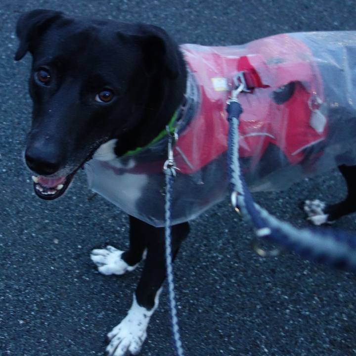 1807746b 23da 4821 bb65 db48bf820d7b 1630580251299