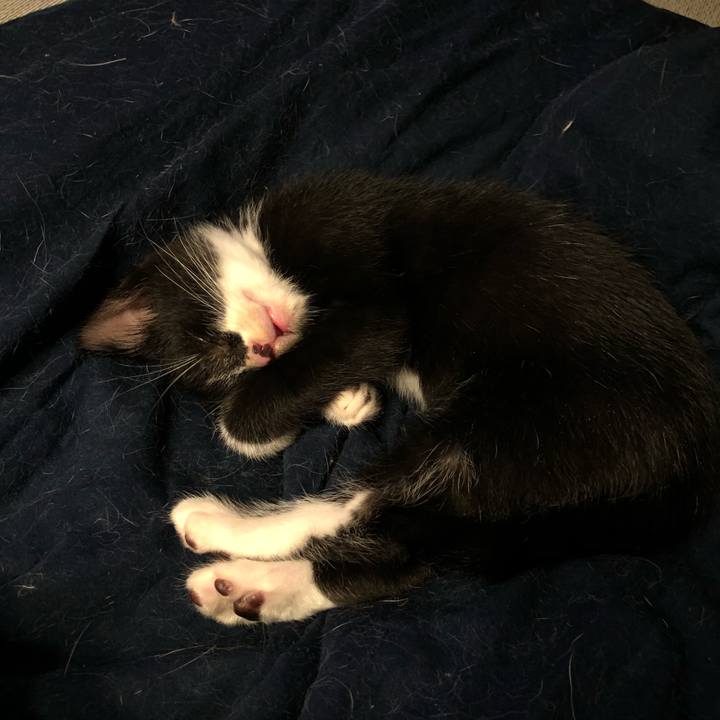 1807808e 1c24 41e4 ae68 ccfa879e20d6 1538057688741