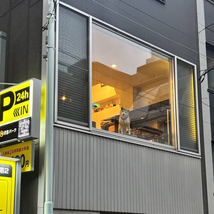 18078921 42ed 44ab ab6f 05a5f17bd5da 1785668353677
