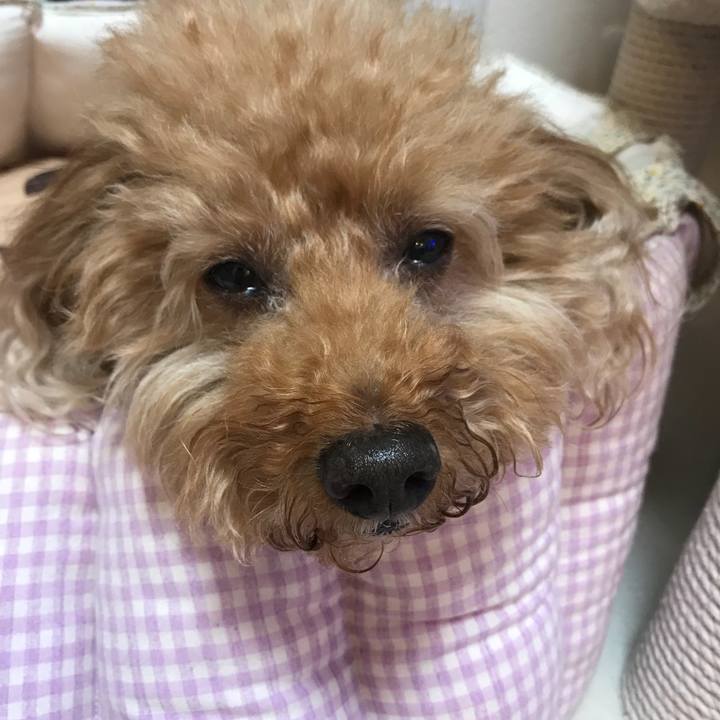 1807ab62 1d67 42ba b418 3210edf24586 1510015897342