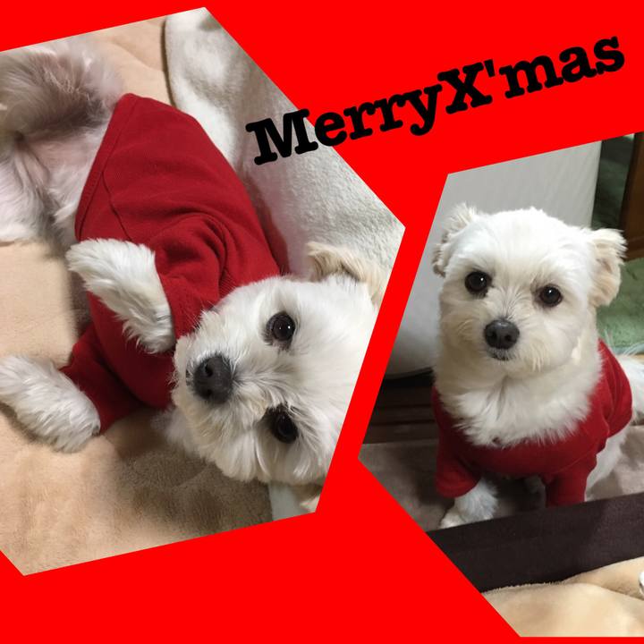 1807b75f 6cbb 4fa0 8278 3ae35654d3c7 1545732907813