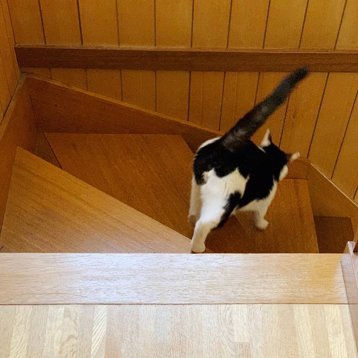 1807f98c 0370 4ca5 8d2d a0da10a24a95 1552269858378