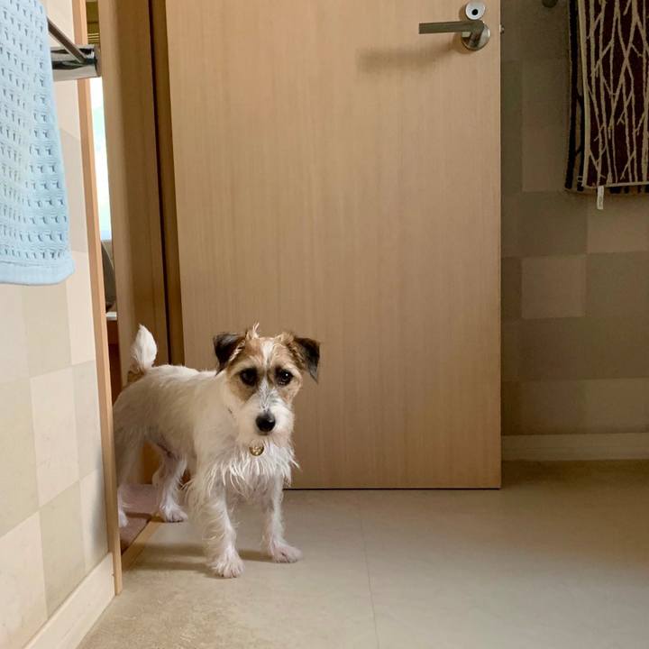 180865b7 0248 4744 b0f3 e9b861d0065b 1628470819499