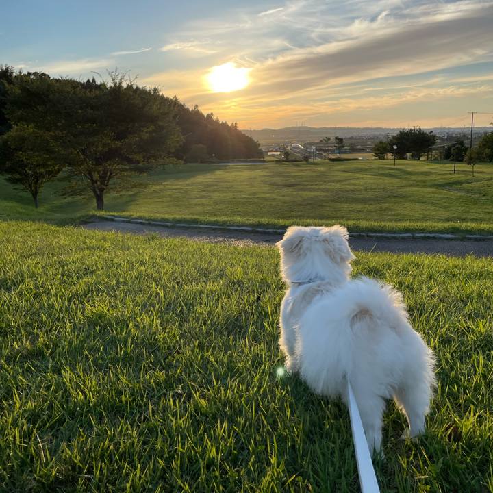 18088973 c91c 4570 b9c0 abda89283798 1664395710450