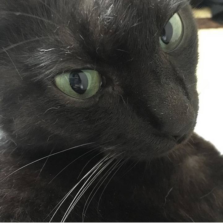 1808b6ad d93e 4694 b591 51debbf8d04d 1565420127673